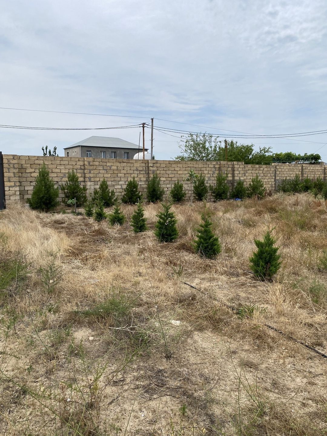 Satılır torpaq 12 sot — Torpaq, Bakı (2)