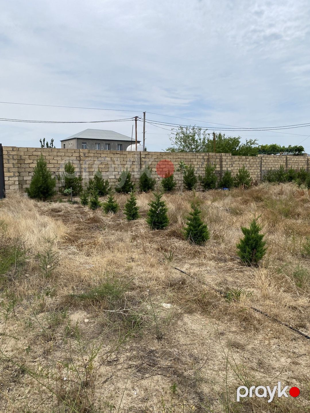 Satılır torpaq 12 sot — Torpaq, Bakı (4)