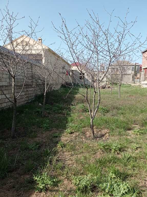 Satılır torpaq 8 sot — Torpaq, Bakı (4)