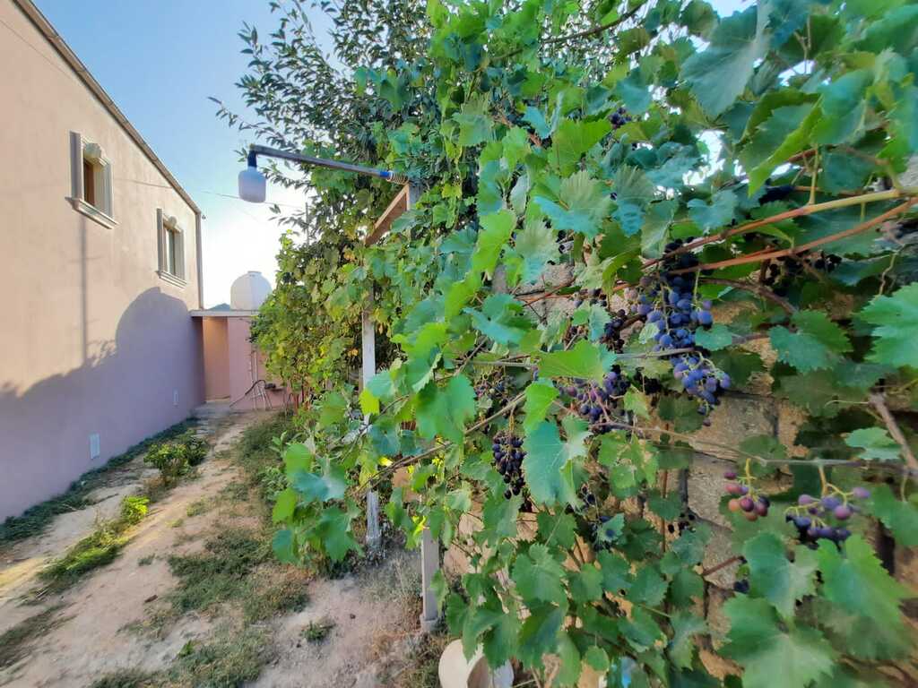 Satılır 3 otaqlı həyət evi/bağ evi 104 m² — Ev, villa, Bakı (12)