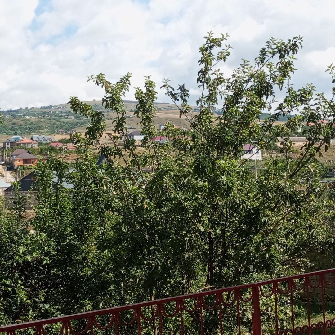 Həyət evi, Şamaxı ş — Ev, villa, Şamaxı (7)