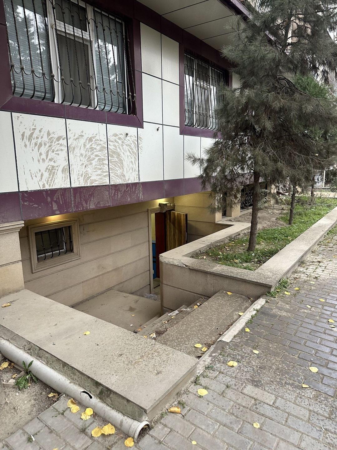 İcarəyə verilir obyekt 100 m² — Əmlak, Bakı (3)
