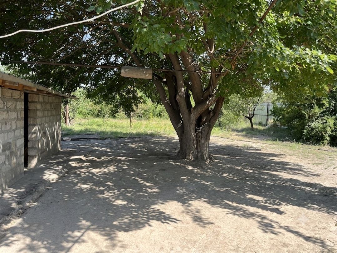 Həyət evi, Şirvan ş — Ev, villa, Şirvan (11)