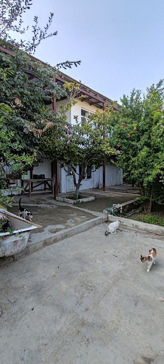 Həyət evi, Zığ qəs — Ev, villa, Bakı (12)