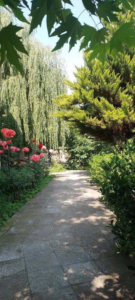 İcarəyə verilir 4 otaqlı həyət evi/bağ evi 90 m² — Ev, villa, Quba (11)
