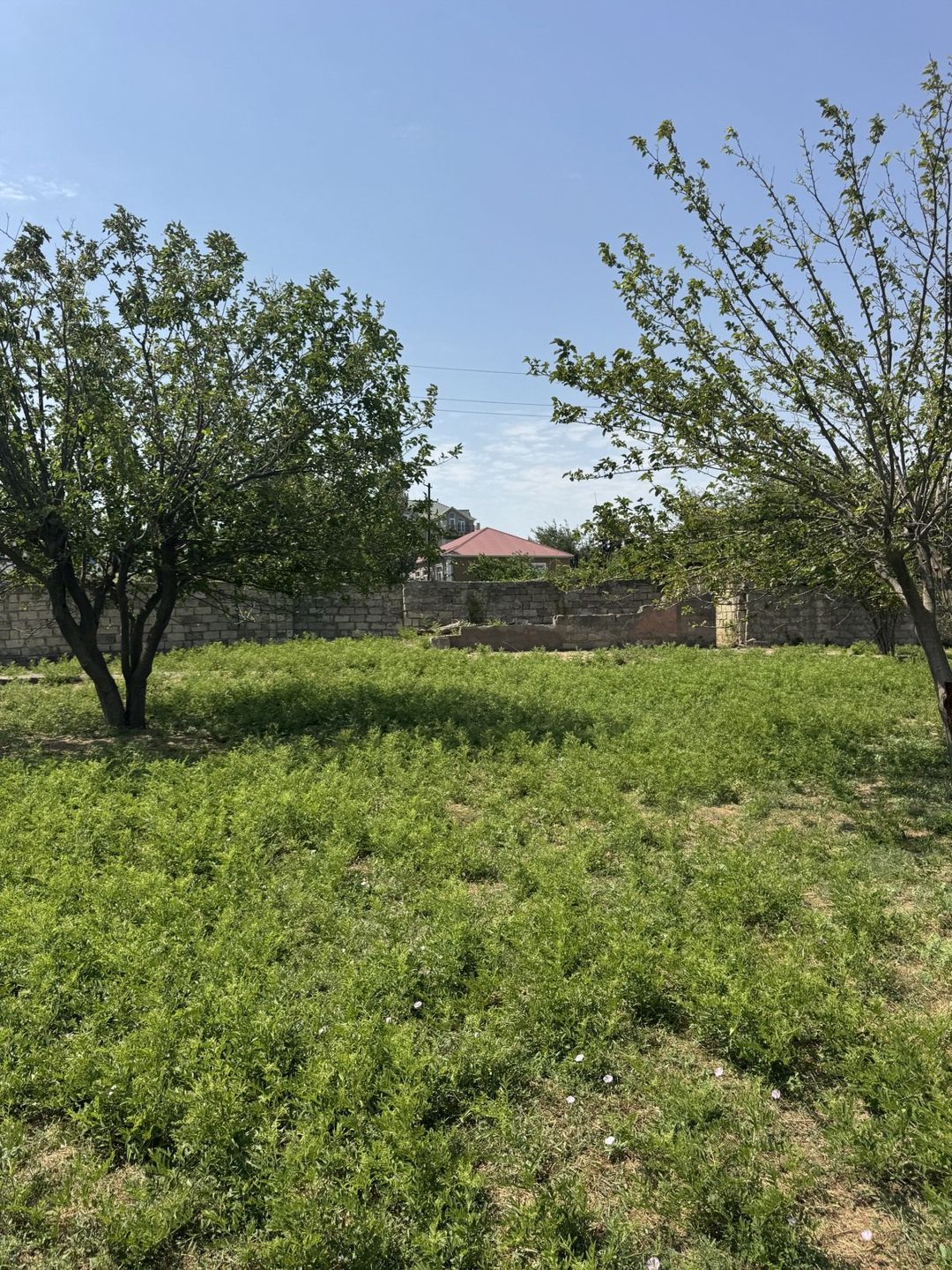 Satılır torpaq 400 sot — Torpaq, Bakı (6)