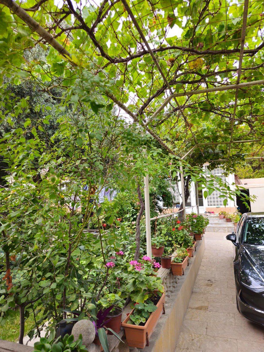 Satılır 7 otaqlı həyət evi/bağ evi 330 m² — Ev, villa, Bakı (6)