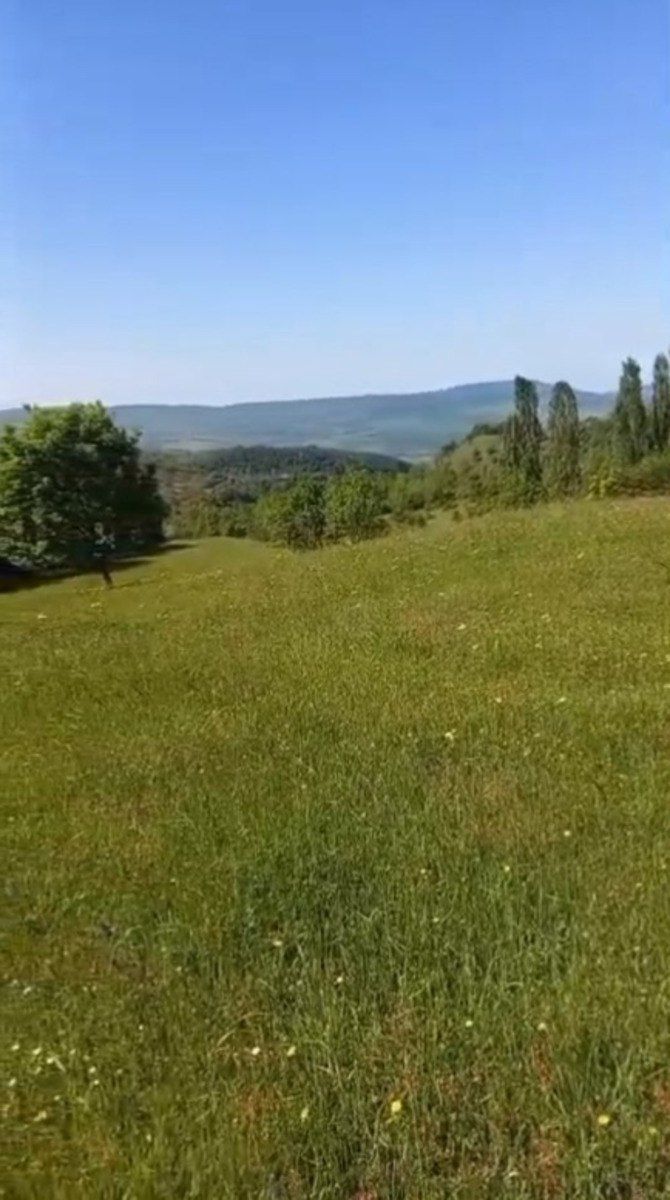 Satılır torpaq 170 sot — Torpaq, İsmayıllı (2)