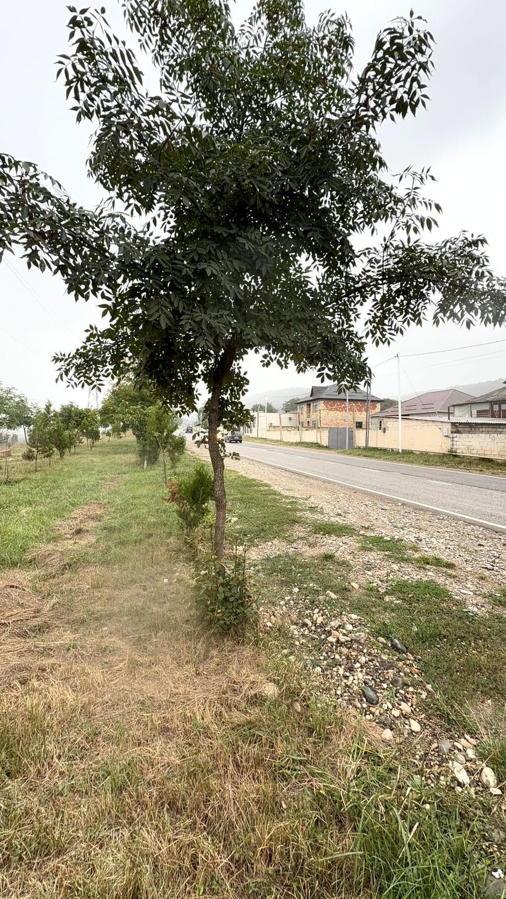 Biznes üçün — Torpaq, Xırdalan (3)