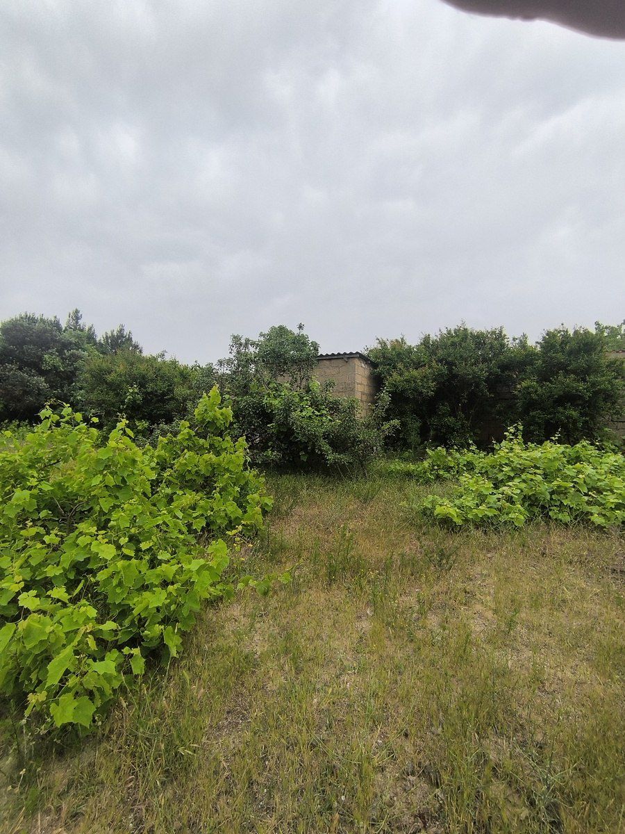 Satılır torpaq 500 sot — Torpaq, Bakı (8)