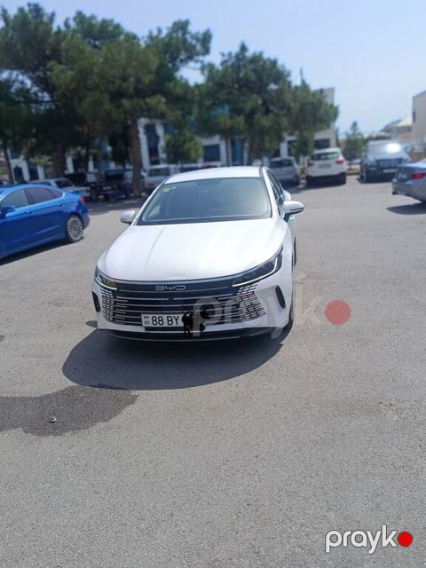 BYD Destroyer 05, 1.5 L, 18.3 kWh, 2024 il, 140 000 km