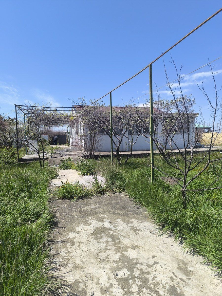 Satılır 4 otaqlı həyət evi/bağ evi 130 m² — Ev, villa, Bakı (4)
