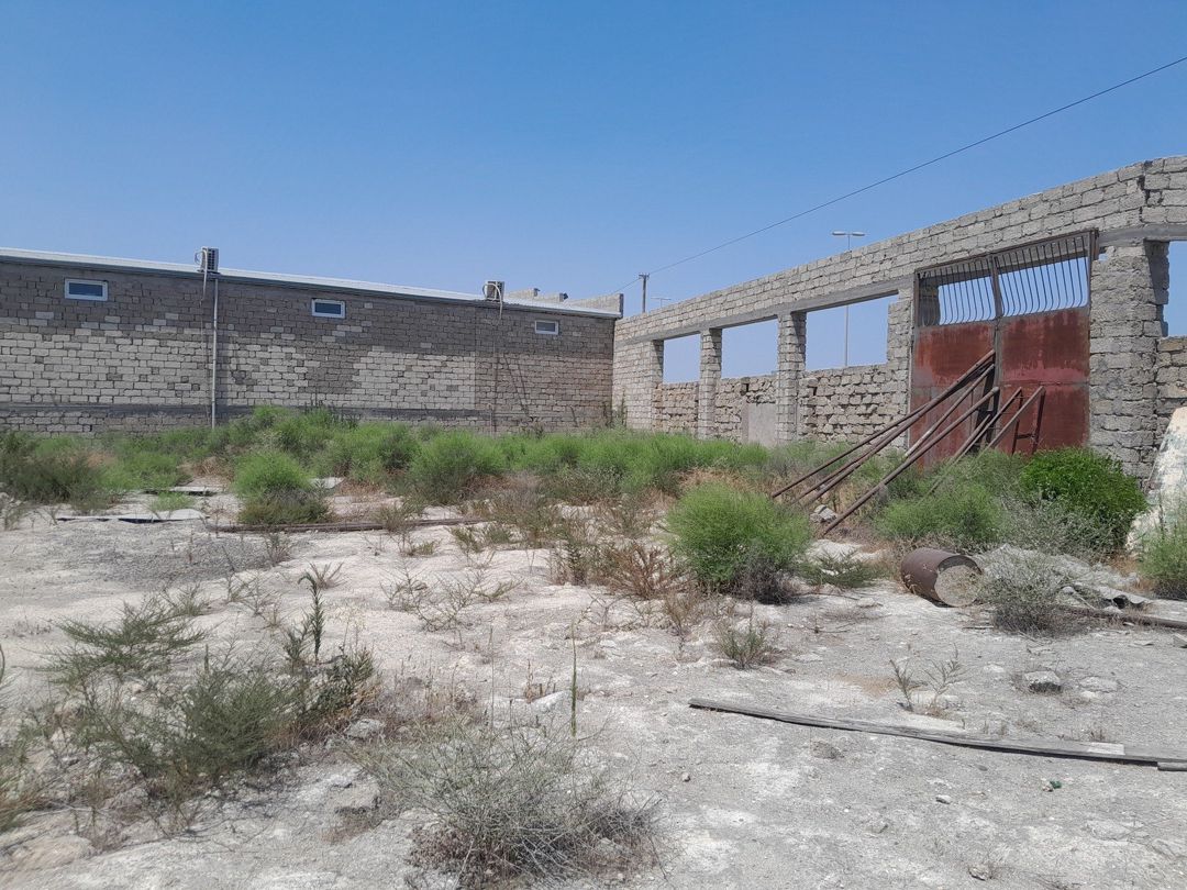 Satılır torpaq 13.5 sot — Torpaq, Bakı (11)
