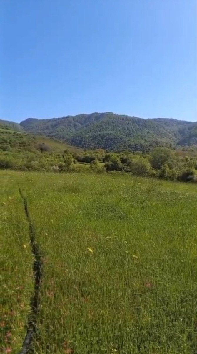 Satılır torpaq 170 sot — Torpaq, İsmayıllı (4)