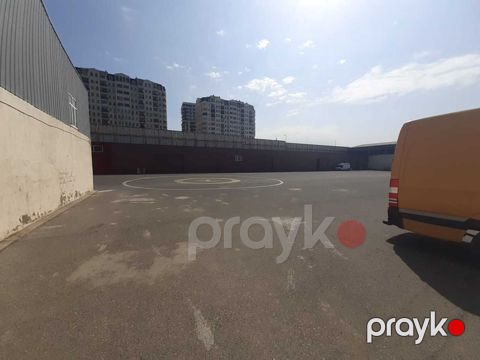 İcarəyə verilir obyekt 7000 m²