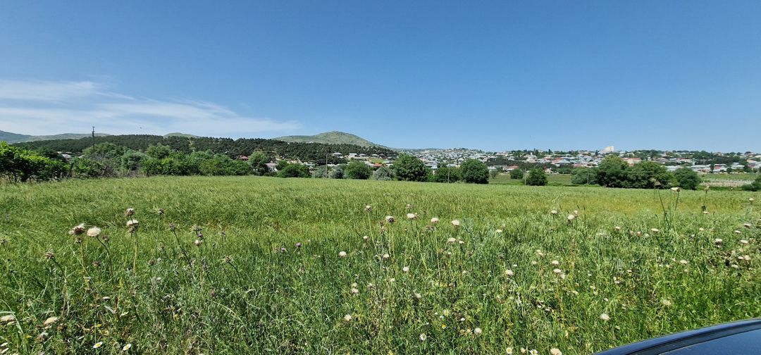 Satılır torpaq 226 sot — Torpaq, Şamaxı (7)
