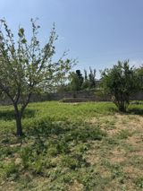Satılır torpaq 400 sot — Kamran Sirinov
