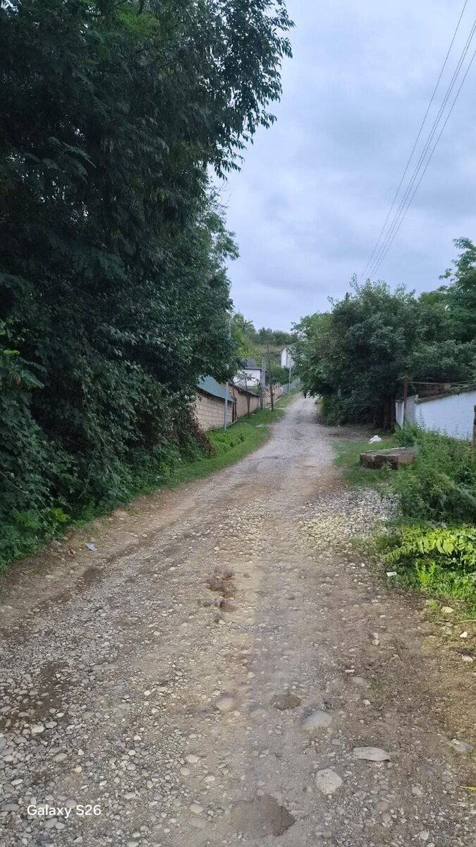 25 sot torpaq sahəsi, Qusar r — Torpaq, Qusar (2)
