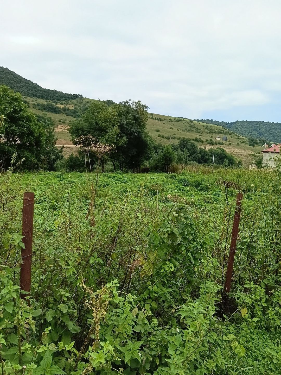 Satılır torpaq 10 sot — Torpaq, Quba