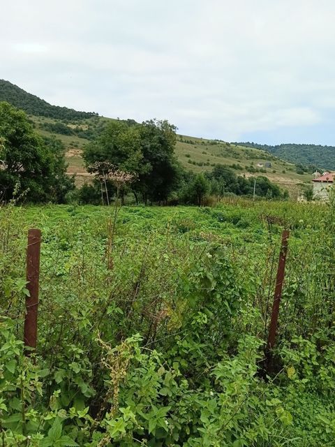 Satılır torpaq 10 sot — Quba