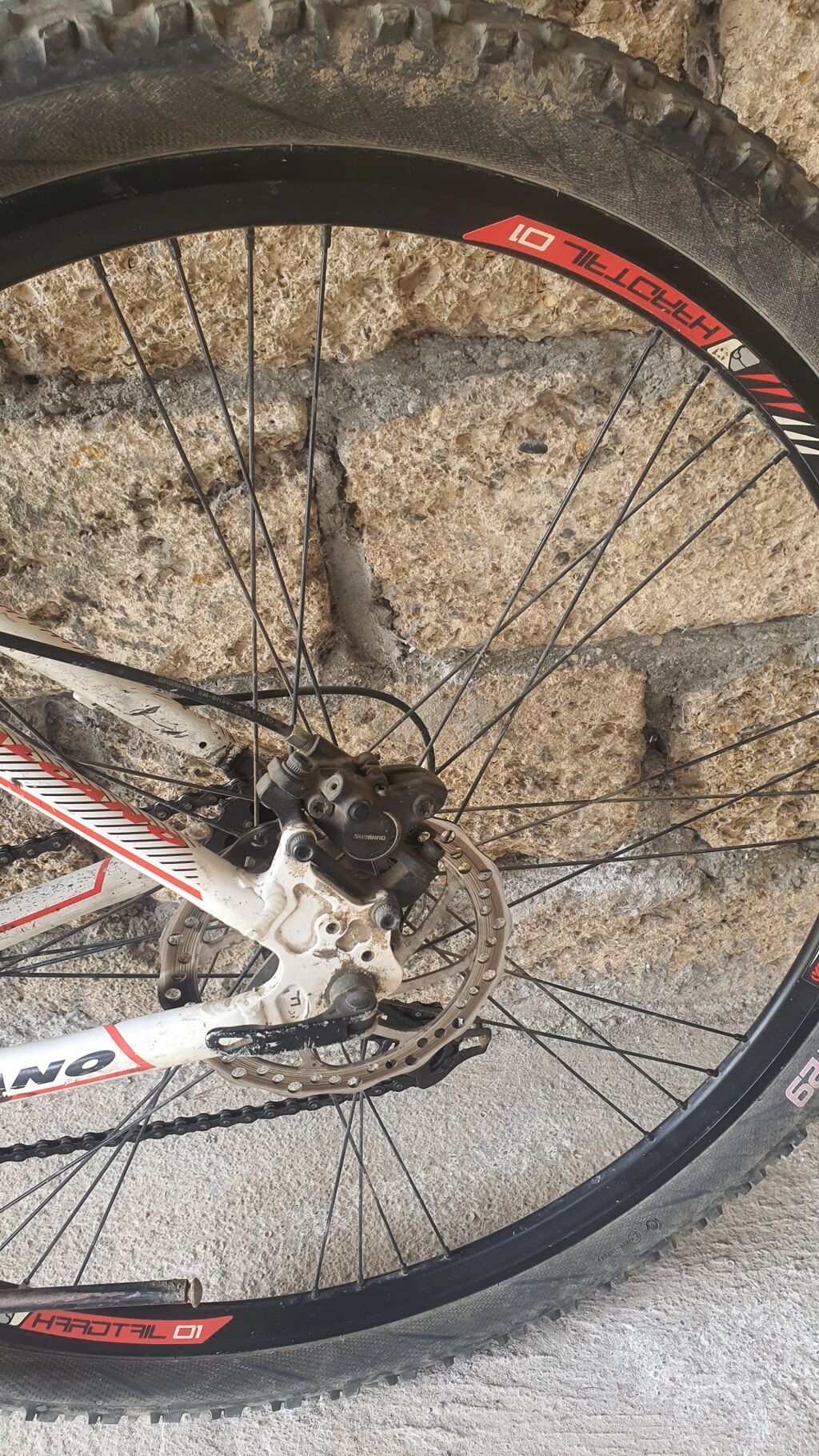Sagano dağ velosipedi – elektrik dəstlə təkmilləşdirilmiş — Elektrik velosipedləri, Astara (3)