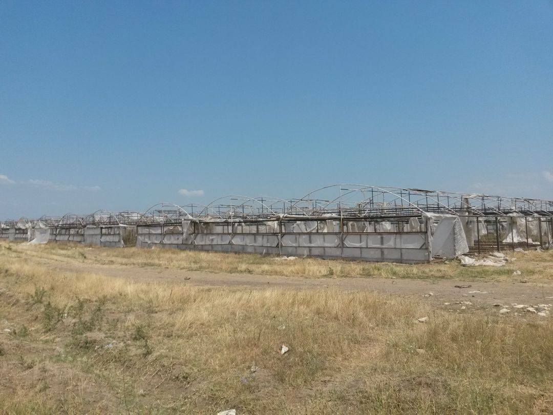 Satılır torpaq 646 sot — Torpaq, Şəmkir (2)