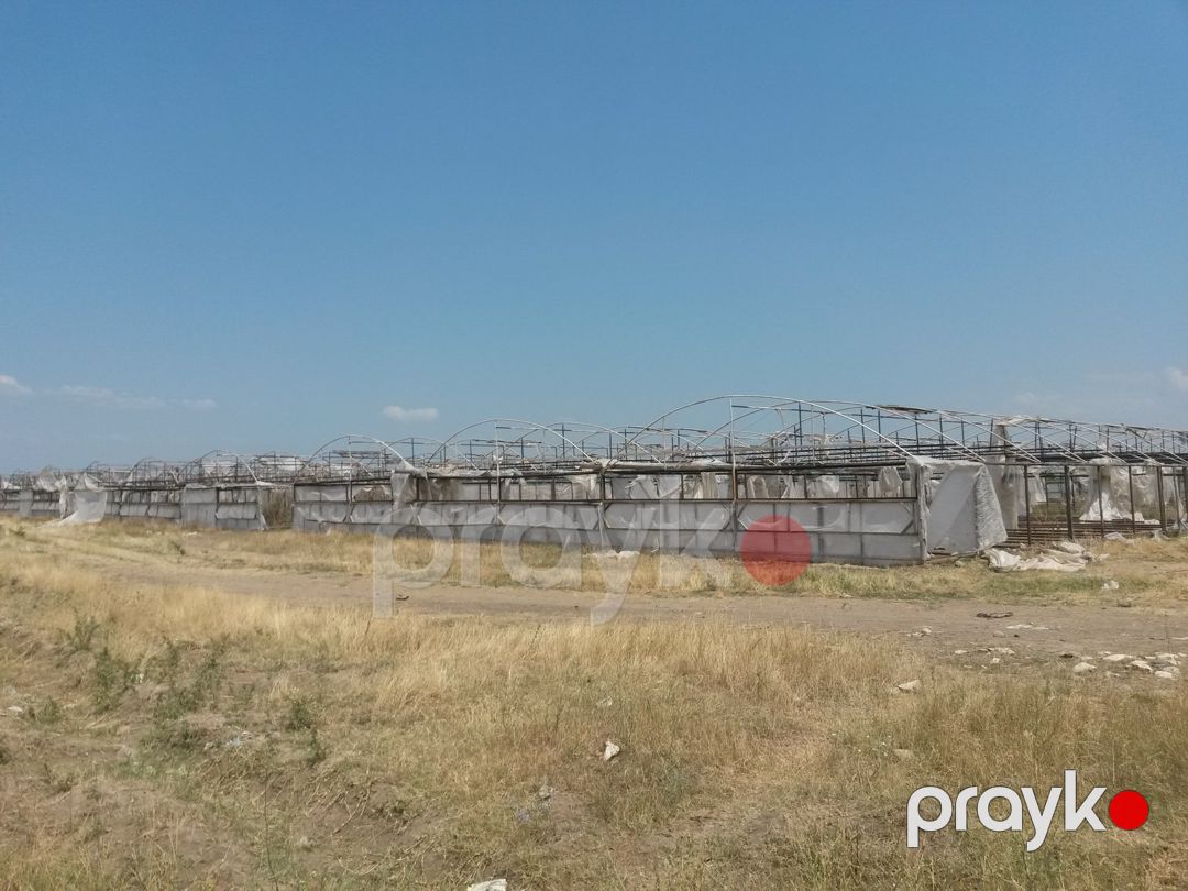 Satılır torpaq 646 sot — Torpaq, Şəmkir (2)