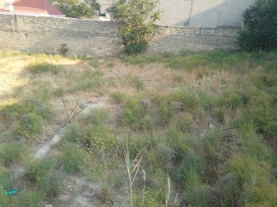 Satılır torpaq 9 sot — Torpaq, Bakı (3)
