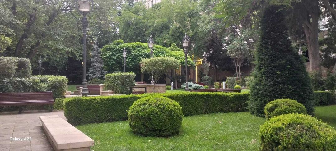 İcarəyə verilir 3 otaqlı yeni tikili 170 m² — Mənzil, Bakı (4)