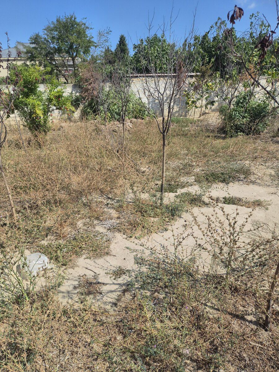 3 sot torpaq sahəsi, Görədil qəs — Torpaq, Bakı (5)