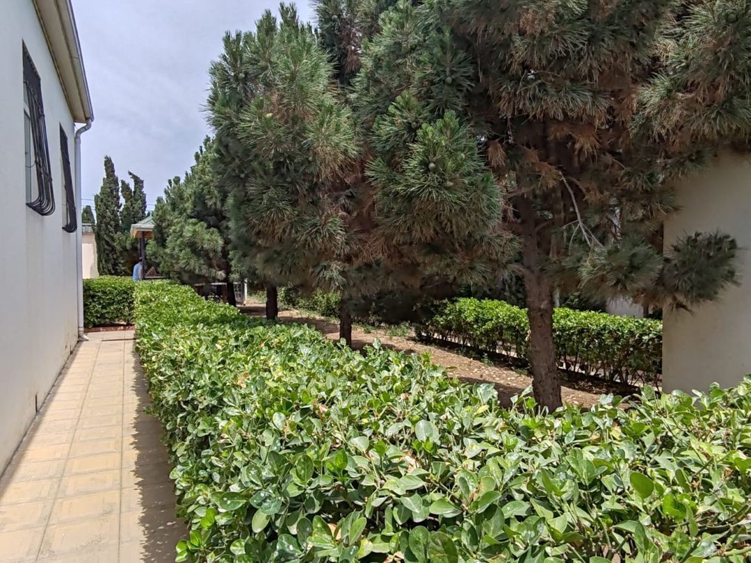İcarəyə verilir 5 otaqlı həyət evi/bağ evi 200 m² — Ev, villa, Bakı (4)