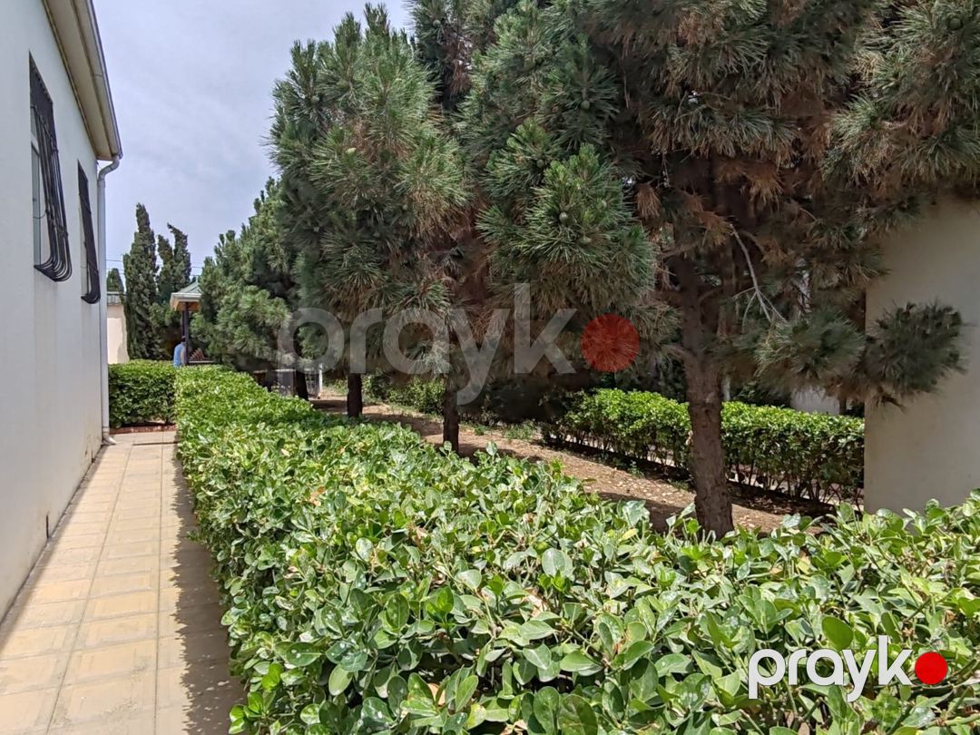 İcarəyə verilir 5 otaqlı həyət evi/bağ evi 200 m² — Ev, villa, Bakı (4)