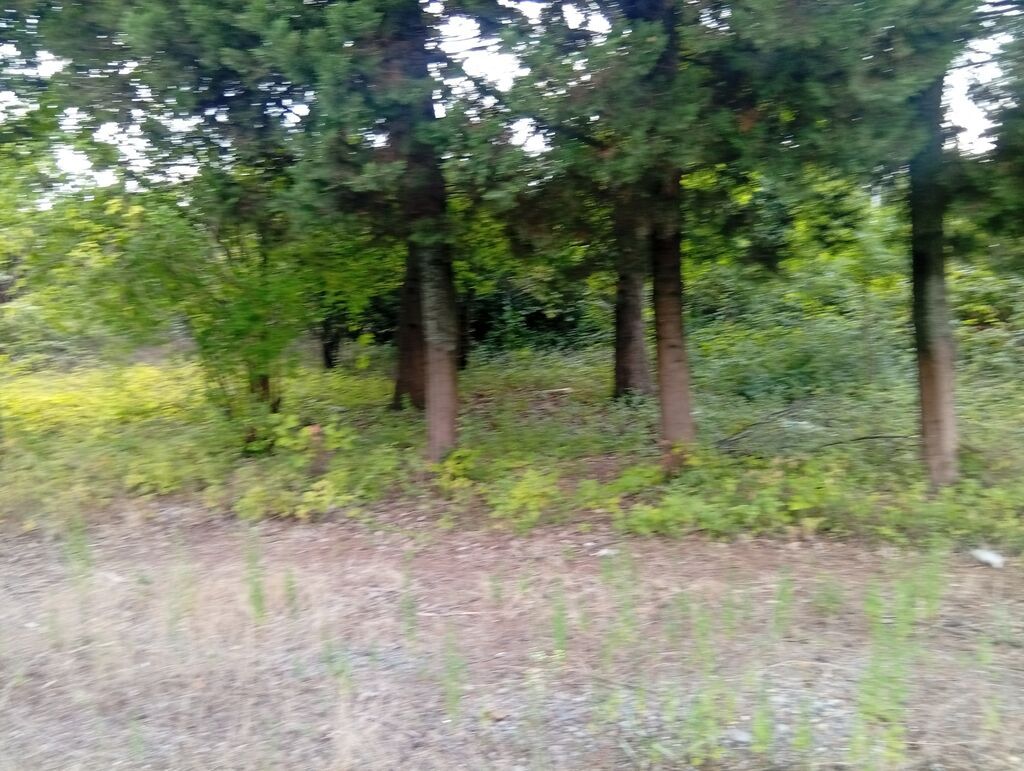 67 sot, Tikinti, Mülkiyyətçi, Kupça (Çıxarış) — Torpaq, Lənkəran (3)