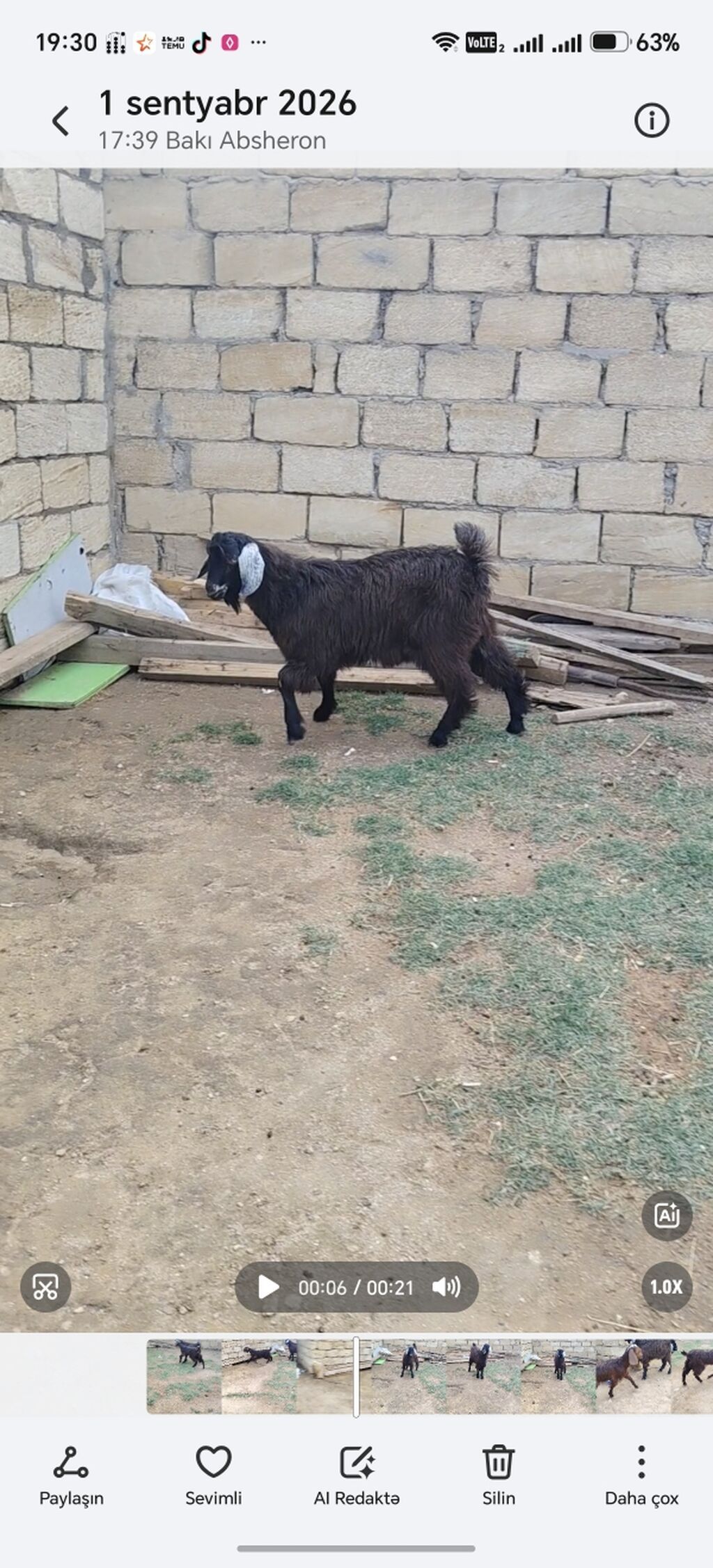 Ərkəy cepiş — Heyvanlar, Xırdalan (2)