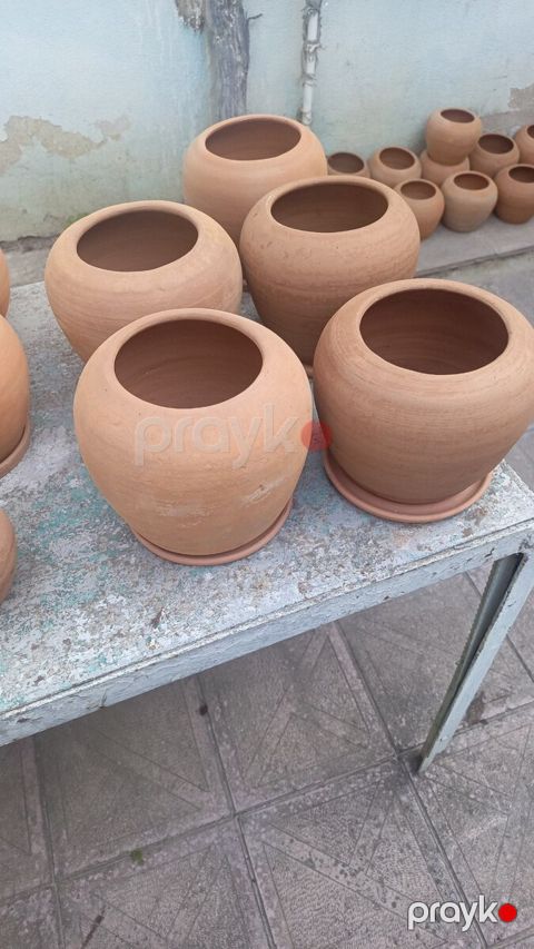 Saxsı dibçək — Bakı