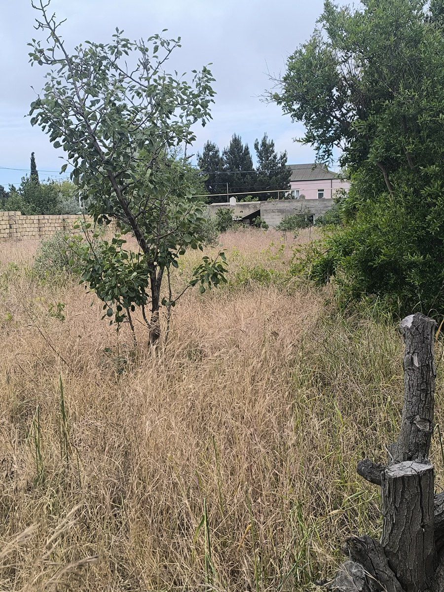 Satılır torpaq 12 sot — Torpaq, Bakı (8)