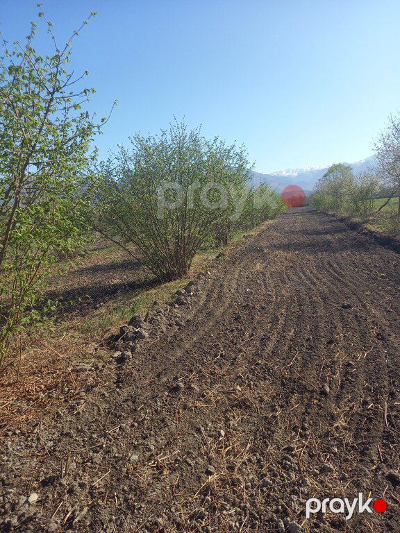 84 sot torpaq sahəsi, Şəki r — Torpaq, Şəki (10)