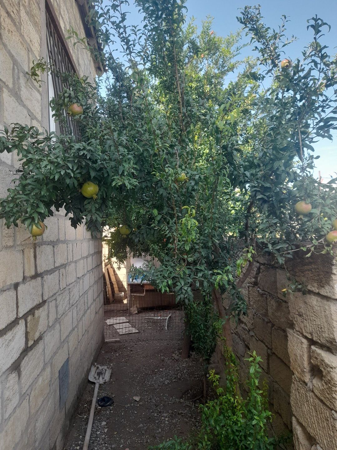 Satılır 4 otaqlı həyət evi/bağ evi 95 m² — Ev, villa, Bakı (4)