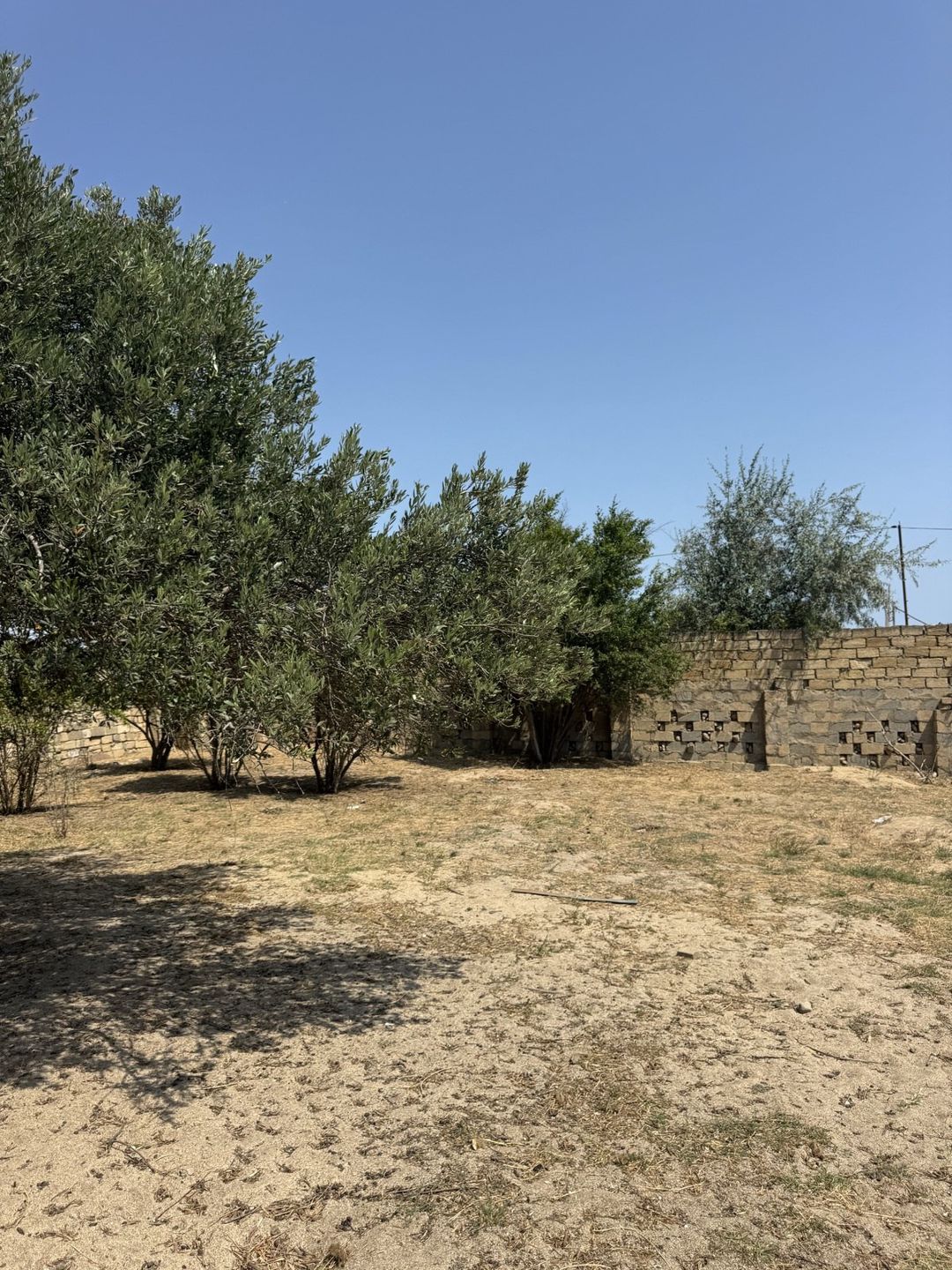 Satılır torpaq 3 sot — Torpaq, Bakı (4)
