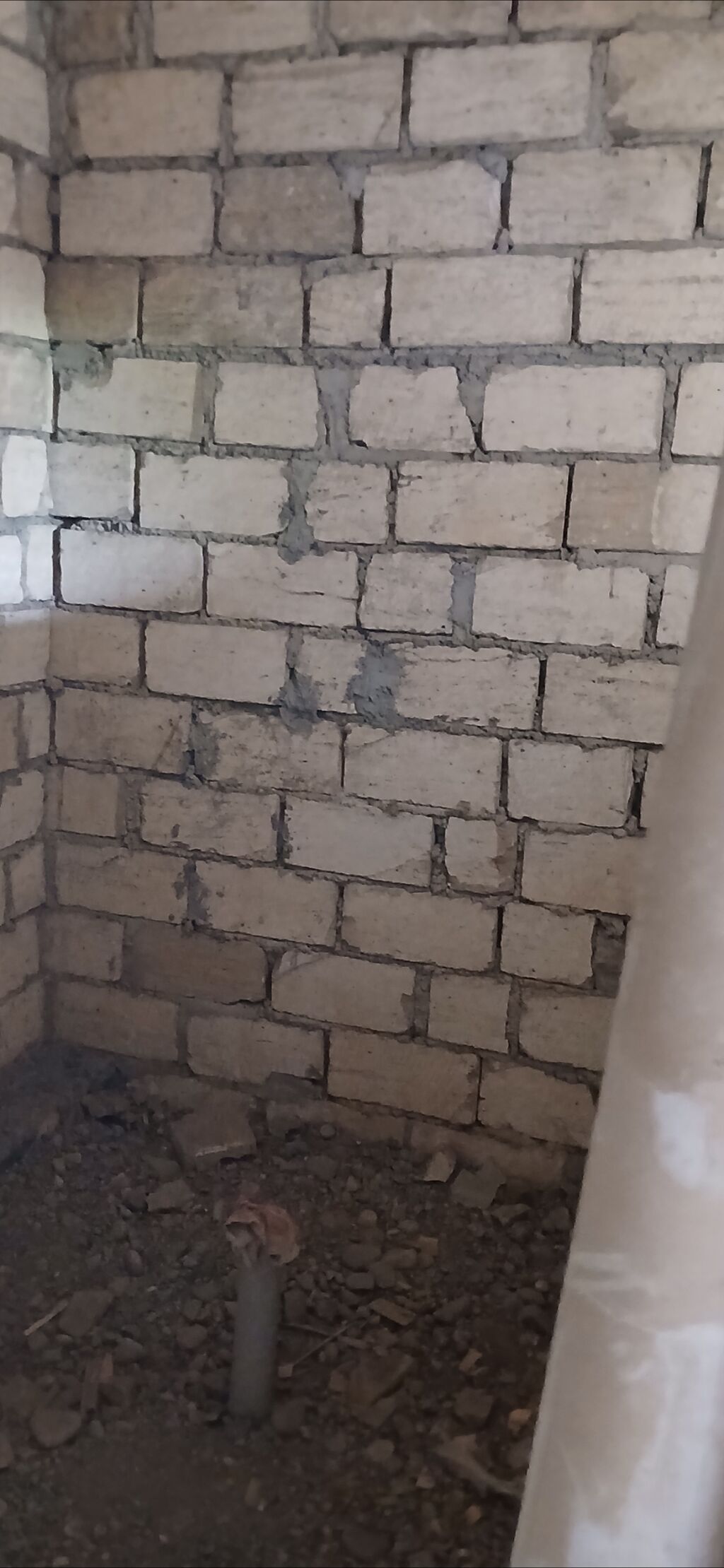 Tikinti — Torpaq, Gəncə (9)