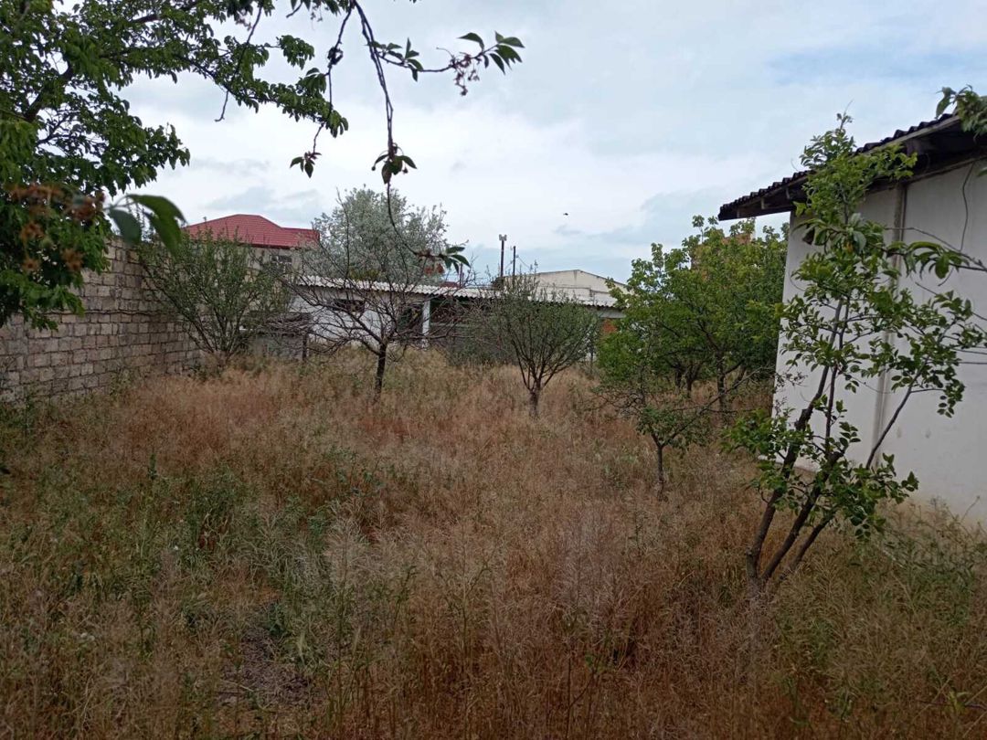 Satılır torpaq 10 sot — Torpaq, Bakı (3)