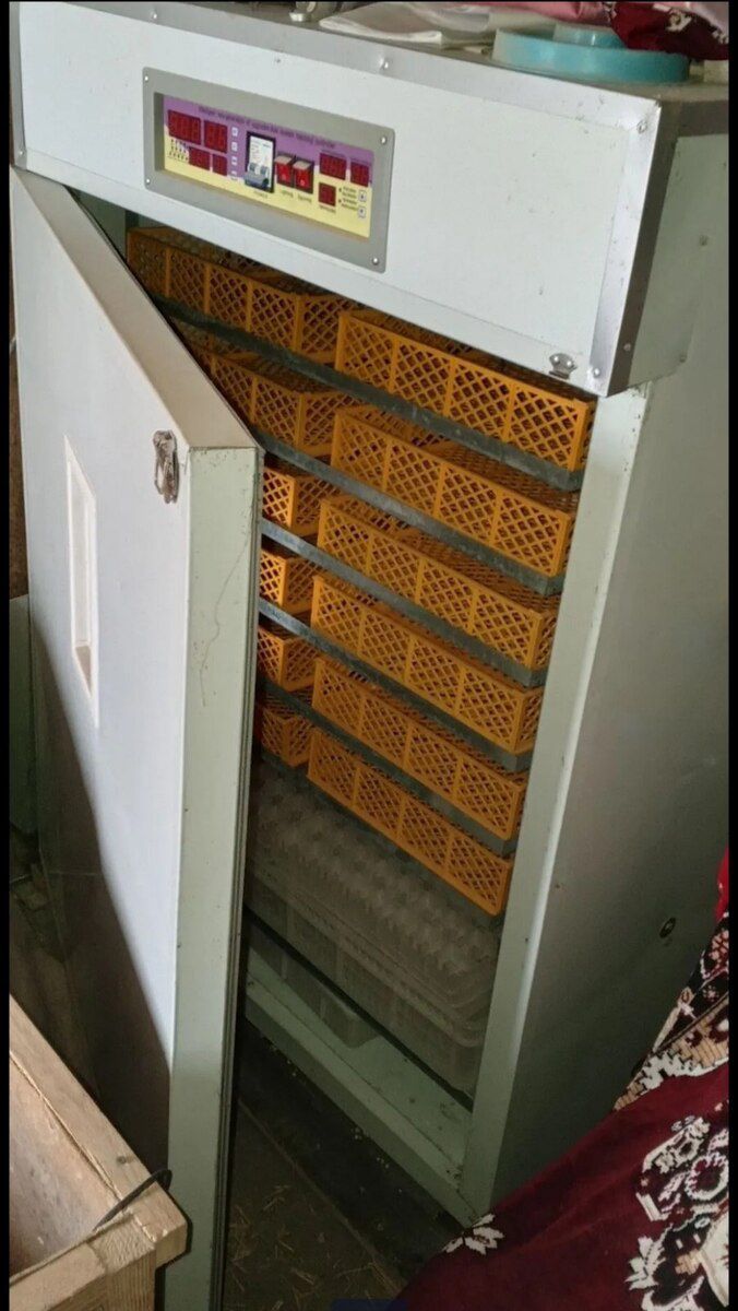İnkubator — Biznes və avadanlıq, Bakı (3)