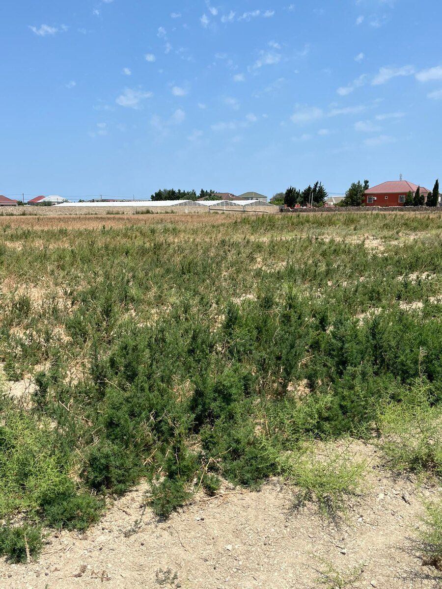 3 sot torpaq sahəsi, Hövsan qəs — Torpaq, Bakı (2)