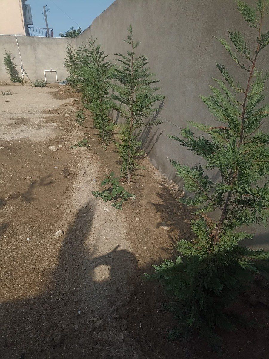 Satılır torpaq 6 sot — Torpaq, Bakı (3)