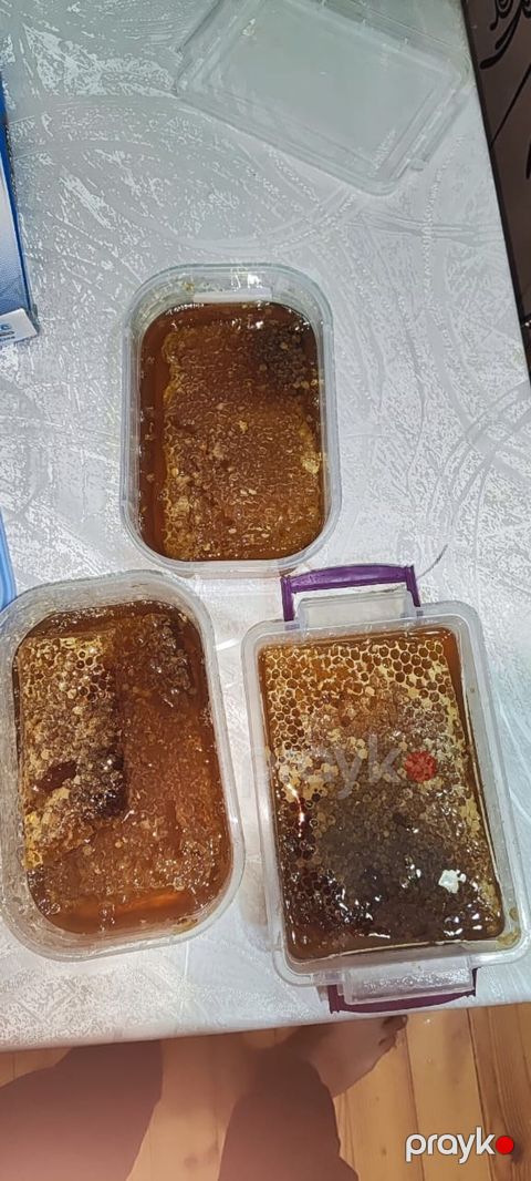 Satılır: Pətək balı (şan balı) - Təbii şanlarda toplanmış bal – dilim — Bakı