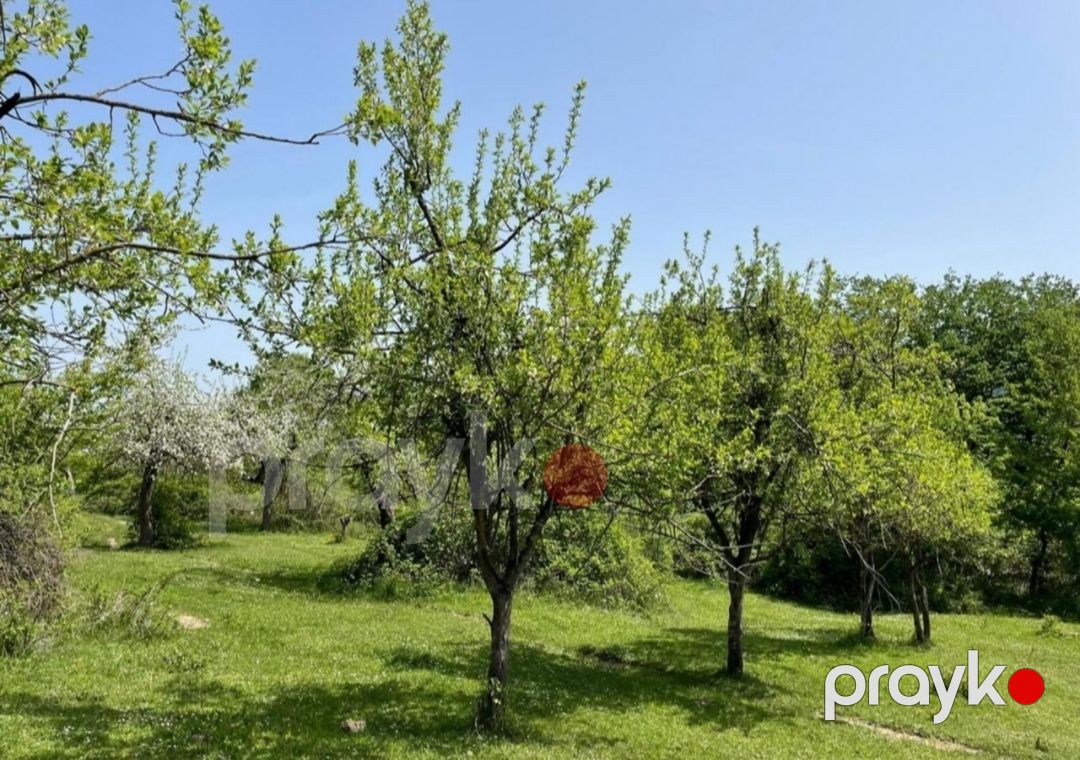 127 sot torpaq sahəsi, Quba r — Torpaq, Quba (8)