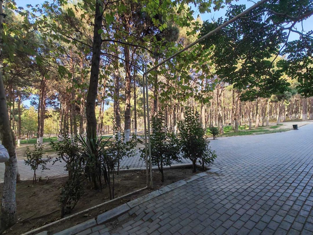 İcarəyə verilir obyekt 23 m² — Əmlak, Xırdalan (5)