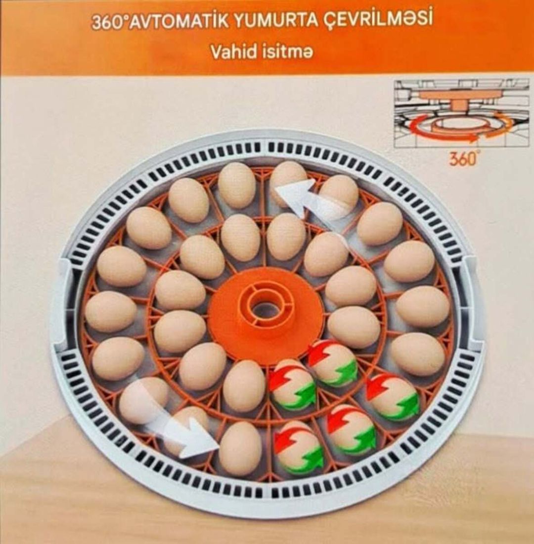 İnkubator — Biznes və avadanlıq, Bakı (3)
