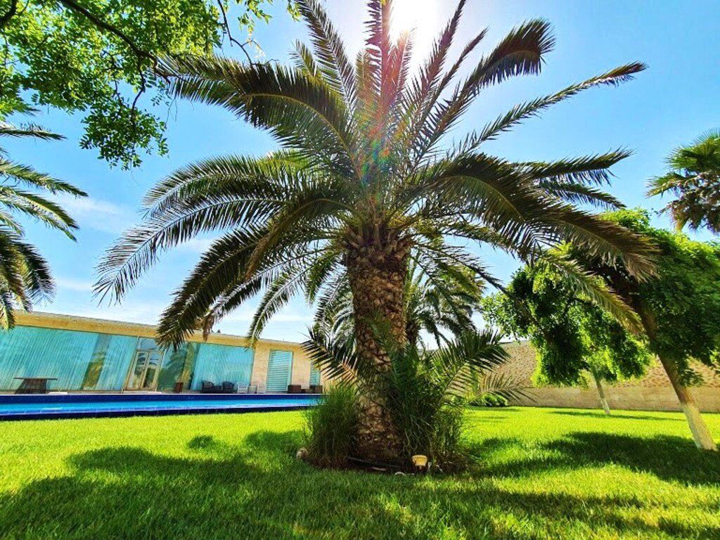 Satılır 5 otaqlı həyət evi/bağ evi 450 m² — Ev, villa, Bakı (5)