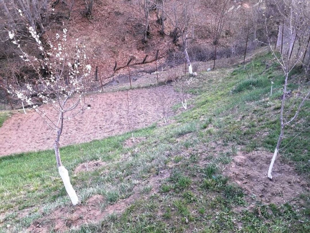 Satılır 3 otaqlı həyət evi/bağ evi 20 m² — Ev, villa, Quba (8)